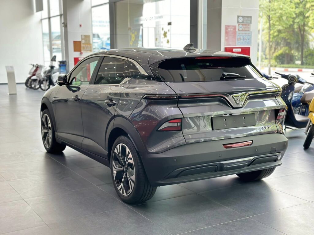 vf6-xam-2